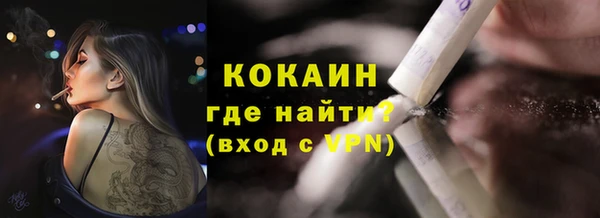 сатива Мегион